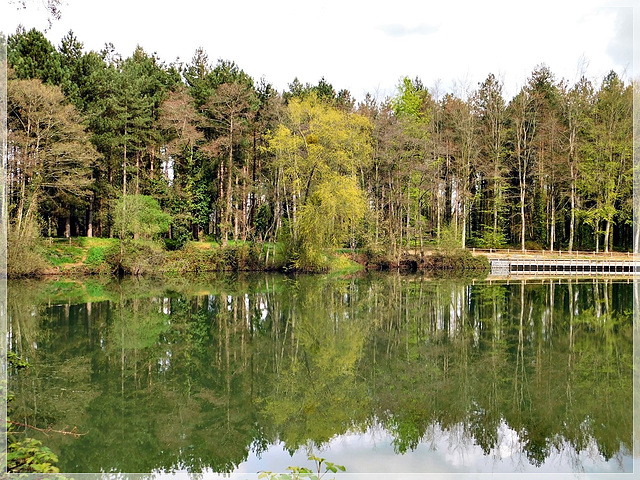 Reflets à l'étang de Bétineuc (22)