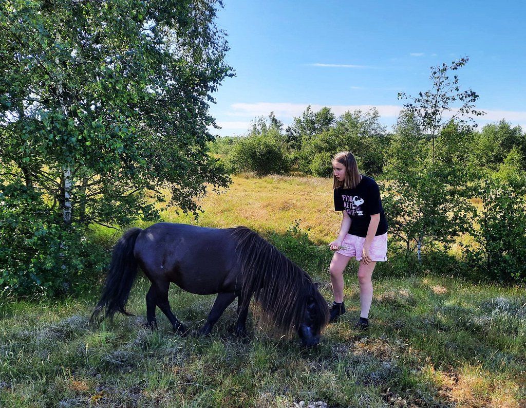 Faune de Zeelande