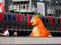 hFF...in Hamburg steppt der Bär :)