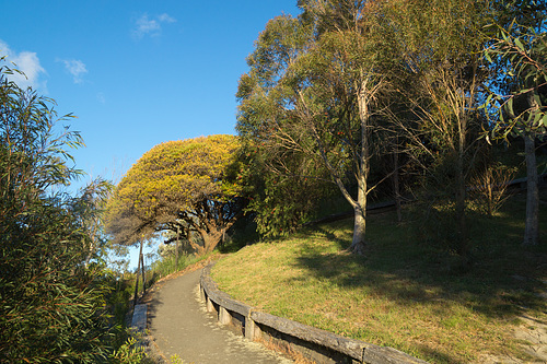Neuseeland - Wellington