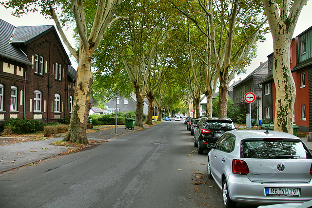 Helmutstraße (Gladbeck-Brauck) / 22.09.2018