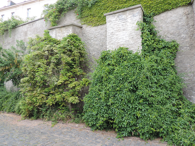 Altenburg - Innere Schlossmauer