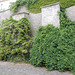 Altenburg - Innere Schlossmauer