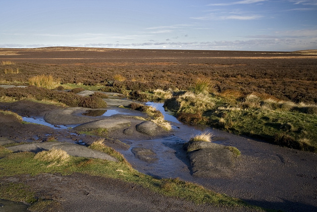 White Path Moss, Stanage Edge