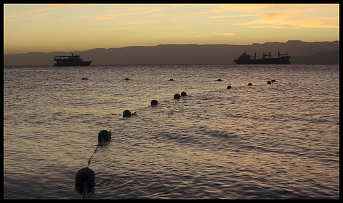 Swim zone (long)