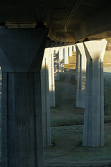 Under the Bridge