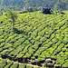Lockhart Gap MUNNAR