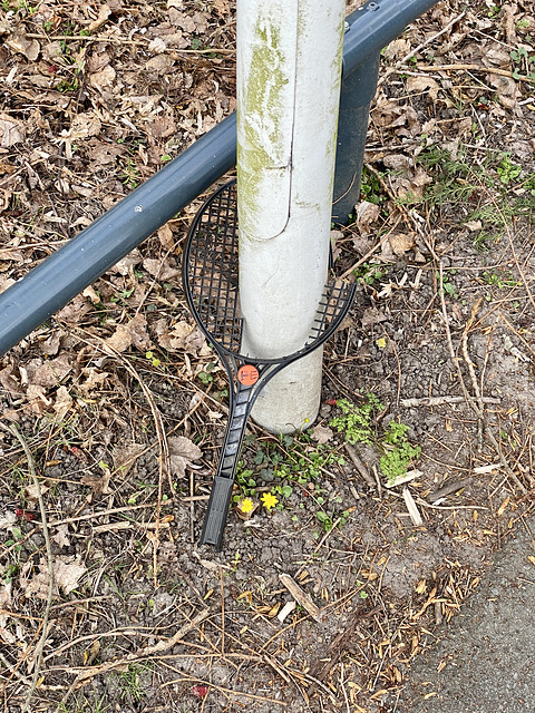 Lamppost growing through a tennis racket