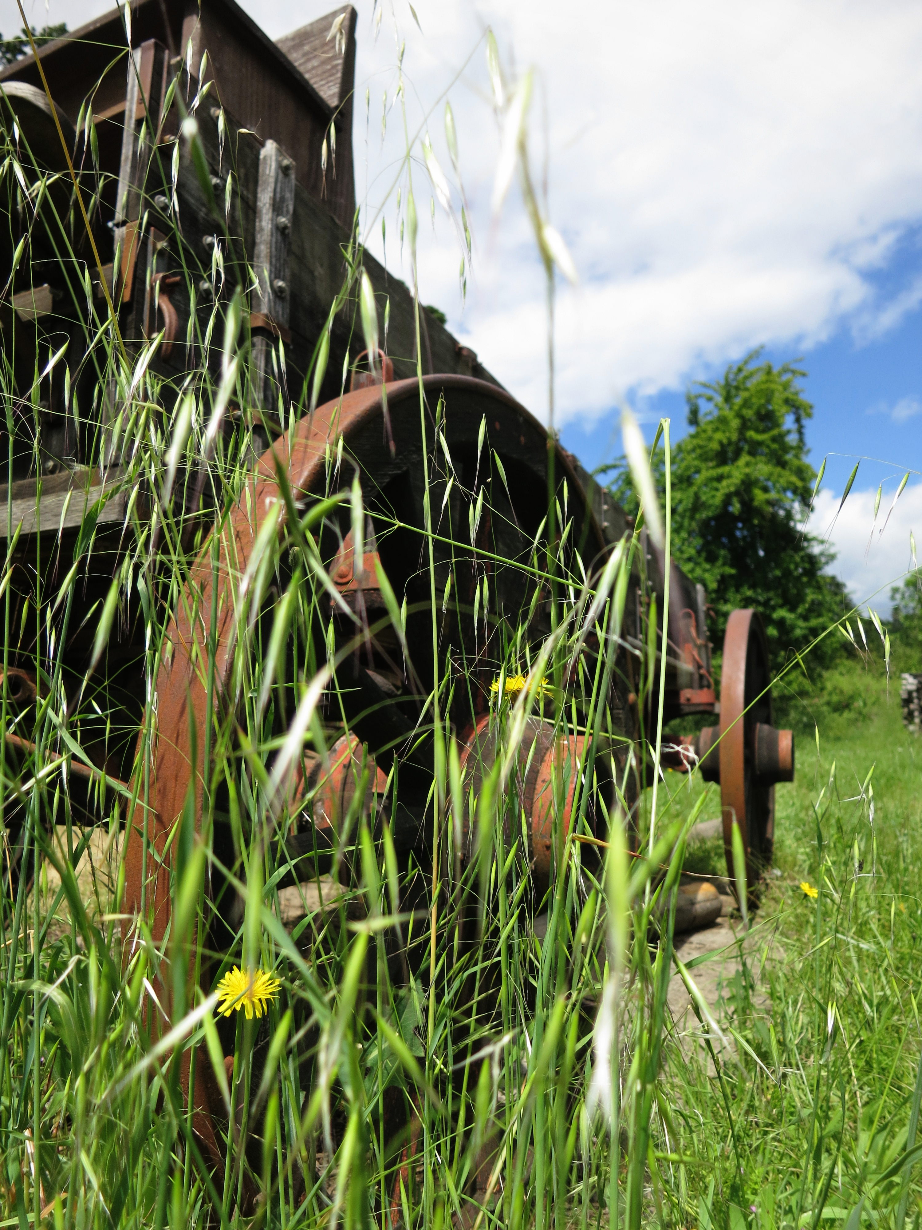 Weeds and relics