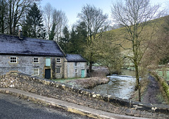 HWW Dove Dale Staffordshire/Derbyshire 2nd January 2025