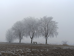 A foggy day