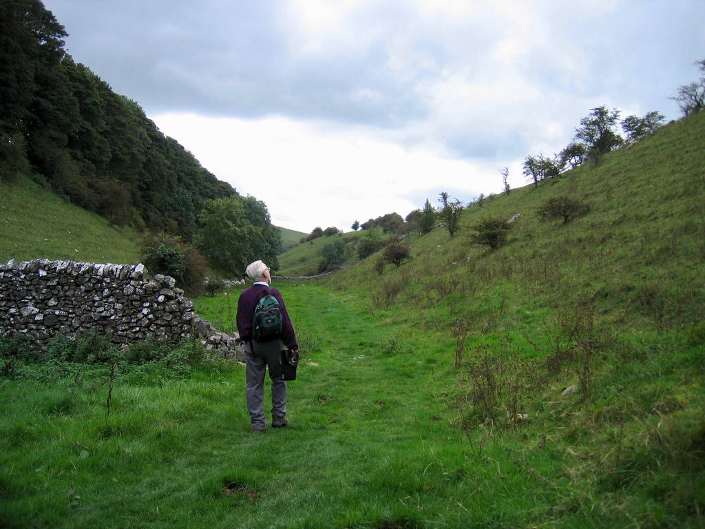 Biggin Dale