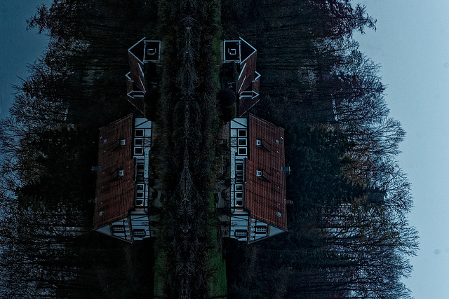 Wald, Horn Bad-Meinberg