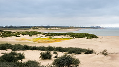 Niederlande / Belgien - Het Zwin