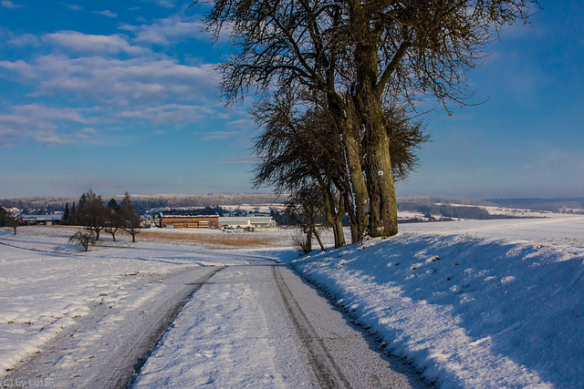 Winterday (330°)