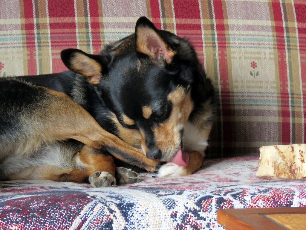 A pedicure session