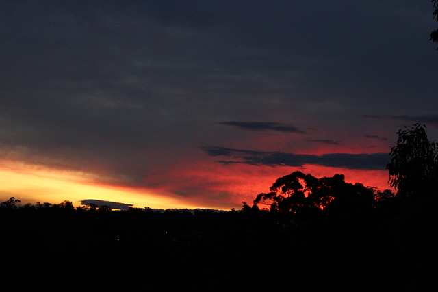 193/366 inky sky