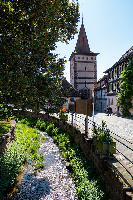 Gengenbach--Baden-Baden-0060