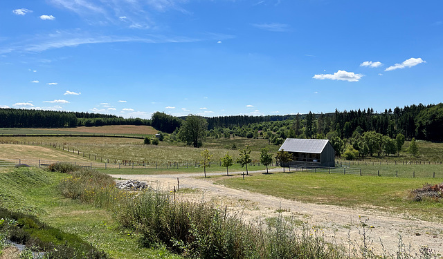 LU - Weiswampach - Sommerliche Landschaft