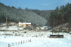 Zäune im Schnee