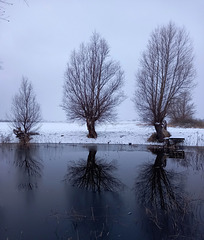 Winterlandschaft_2