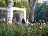 People at the sun