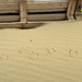 IMG 6788-001-Footprints