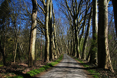 Un grand excès de lenteur sur cette petite route de campagne , j'avoue que ce n'est pas la première fois que ça m'arrive . .