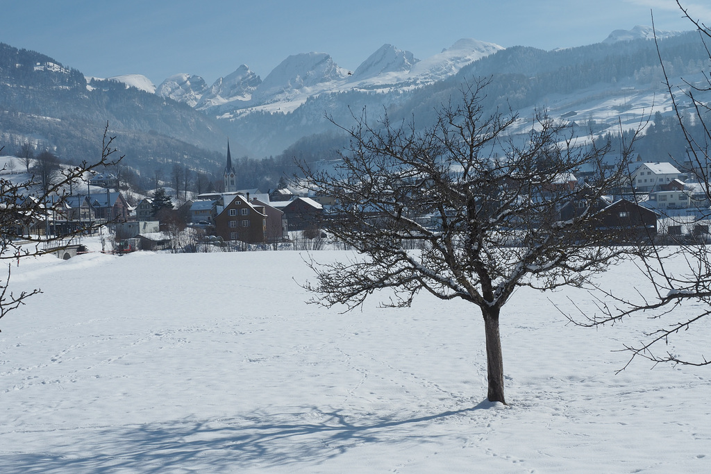 2021-02-14 13'35'35 E-M5 2447