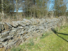 gdn - dry stone walling