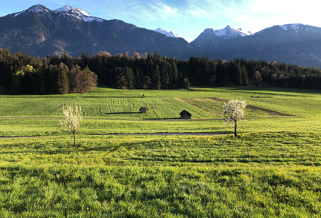 Schnifis Österreich