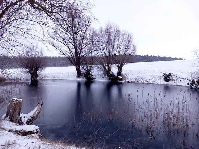 Winterlandschaft