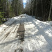 Spring, Alaskan highway