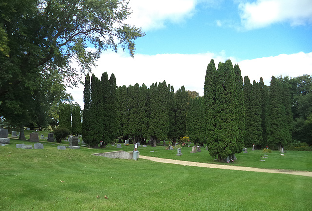 Wisconsing cemetery / Cementerio americano