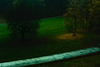 Wald, Horn Bad-Meinberg