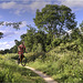 Brent River Park, Greenford