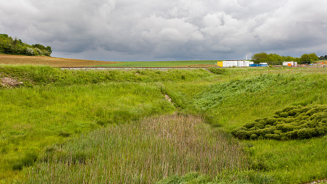 160524 Belfort TGV ligne Delle-Belfort 5