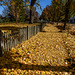 fence & walk