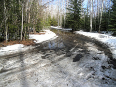 Spring, Alaskan driveway