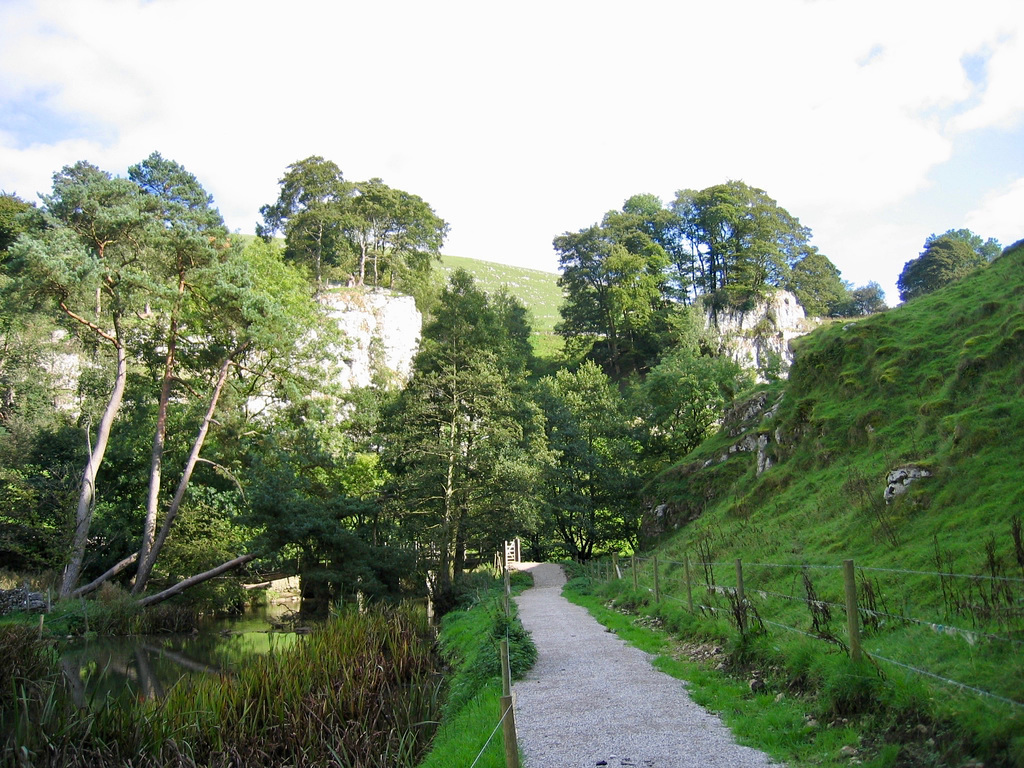 The River Dove at the junction of Beresford Dale and Wolfscote Dale
