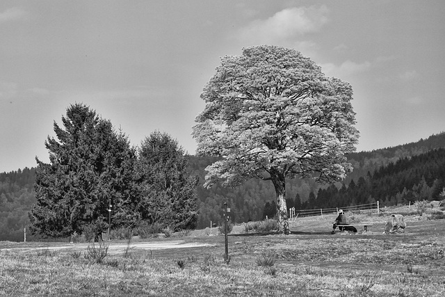 Le col de la Perheux