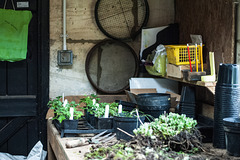 Wet Afternoon in March-Potting Shed