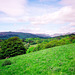 Lake Windermere (Scan from May 1991)