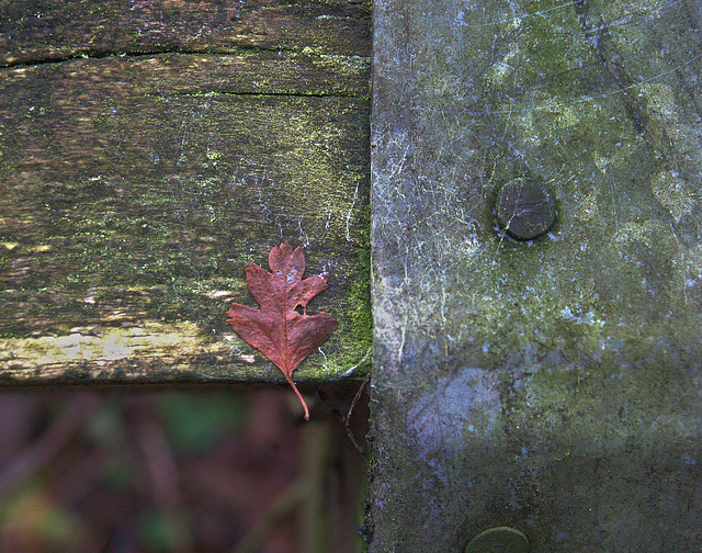 A Fence 1