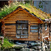 Geiranger : la classica casetta norvegese con prato sul tetto