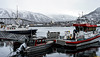 "50 Shades of Grey" im Hafen von Tromsø (PiP)