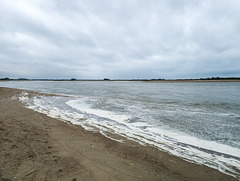 Niederlande / Belgien - Het Zwin