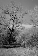 Chess Valley