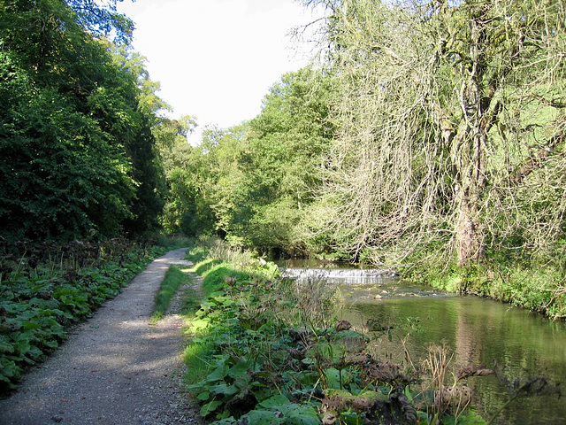 River Dove Beresford Dale