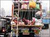 transport at Rajasthan